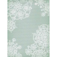 Канва для вышивания С рисунком Дизайнерская Аида 18ct М.П. Студия КД-011 21*30см (по 1 шт)