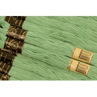 Нитки Мулине Хлопок ПНК им. Кирова 3904, 8 м. (по 1 шт)