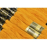 Нитки Мулине Хлопок ПНК им. Кирова 7308, 8 м. (по 1 шт)
